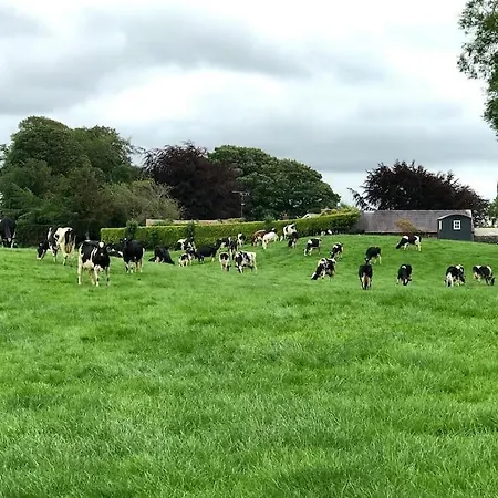 Sheelin Shepherds Hut 2 With Hot Tub