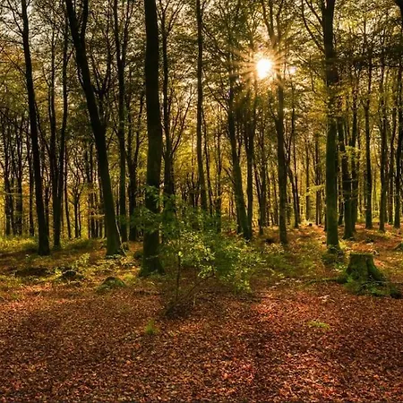 Sheelin Shepherds Hut 2 With Hot Tub Дом отдыха Mountnugent