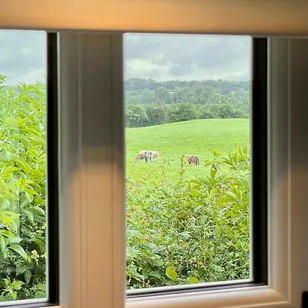 Sheelin Shepherds Hut 2 With Hot Tub *