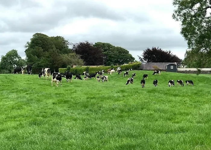 Sheelin Shepherds Hut 2 With Hot Tub