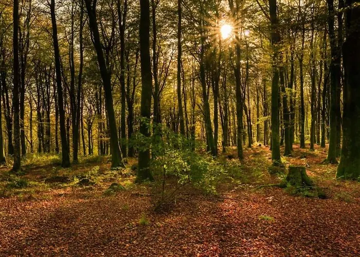 Sheelin Shepherds Hut 2 With Hot Tub Feriehus Mountnugent